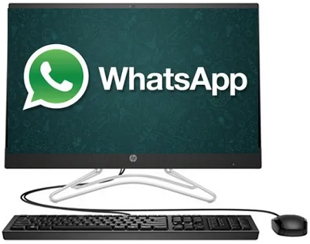 How to Download & Use Whatsapp on Windows PC?