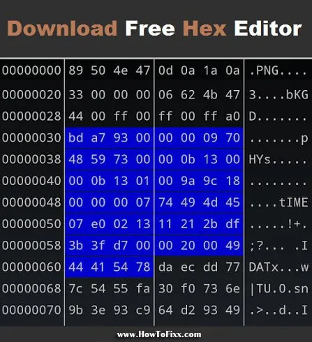 Download Hex Editor