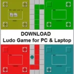 Ludo Game for PC
