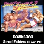 Street Fighter Game for PC