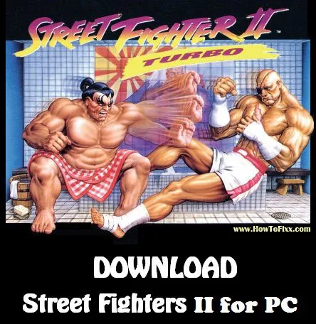 Street Fighter 2 Game for PC