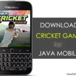 Download Cricket Game for Java Mobile