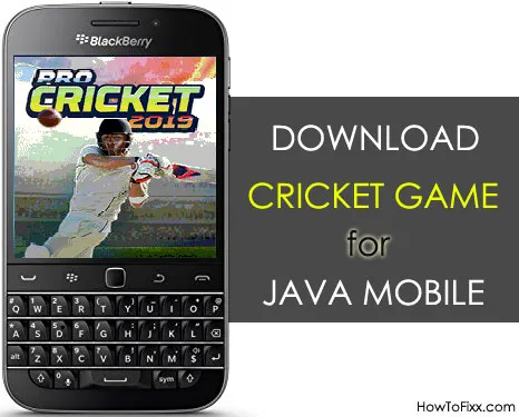 Download Cricket Game for Java Mobile
