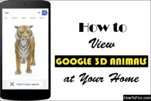 Google 3D Animals