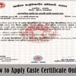 Download Caste Certificate Guide PDF