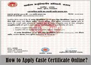 How to Apply for Caste Certificate? Download Guide in PDF