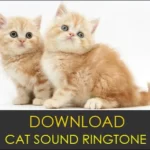Cat Sound Ringtone