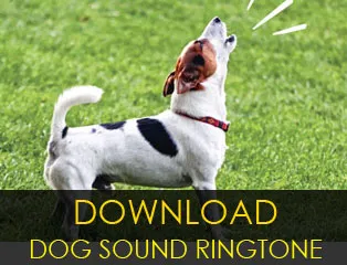 Download Dog Sound MP3 Ringtone