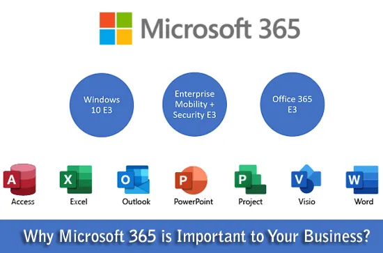 What is Microsoft Office 365 Business? Premium Plans & Pricing
