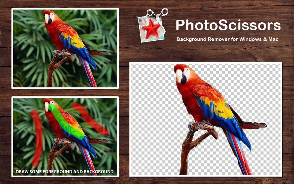 PhotoScissors Background Remover