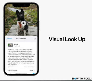 Visual Lookup Updates