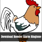Rooster Alarm Sound