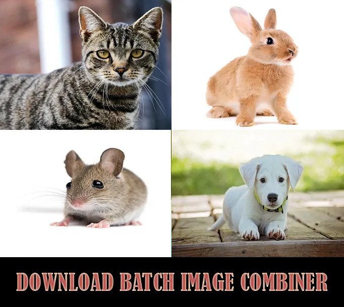 Batch Image Combiner